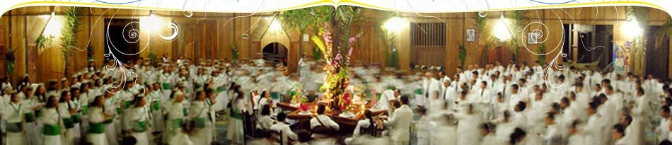a sámánfőzet vallási egyház ayahuasca egyházak egyike